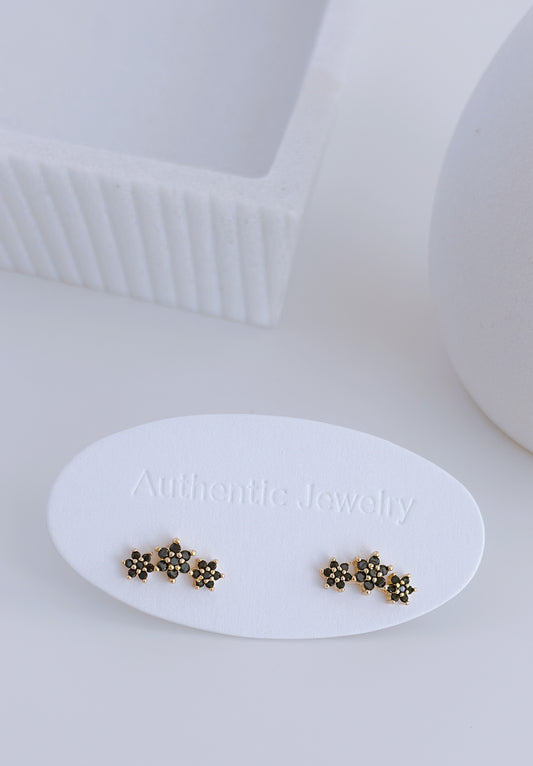 Evelia Black Earrings